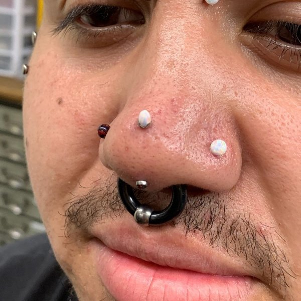 Rhino Piercing The Complete Experience Guide With Meaning