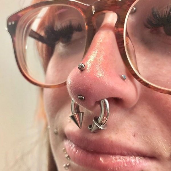 Rhino Piercing The Complete Experience Guide With Meaning