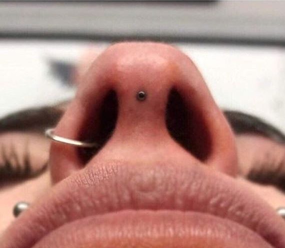 pierce journal septril piercing nose tip piercing 9
